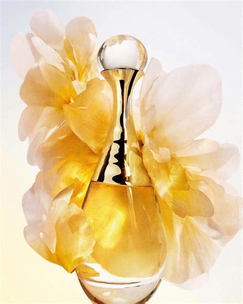 New J'adore l'Or Perfume by Francis Kurkdjian 